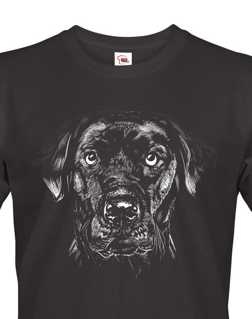 Pánské tričko Labrador