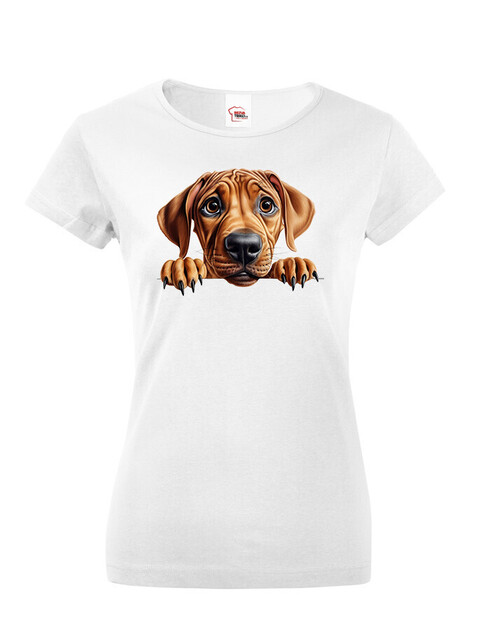Dámské tričko Rhodéský ridgeback