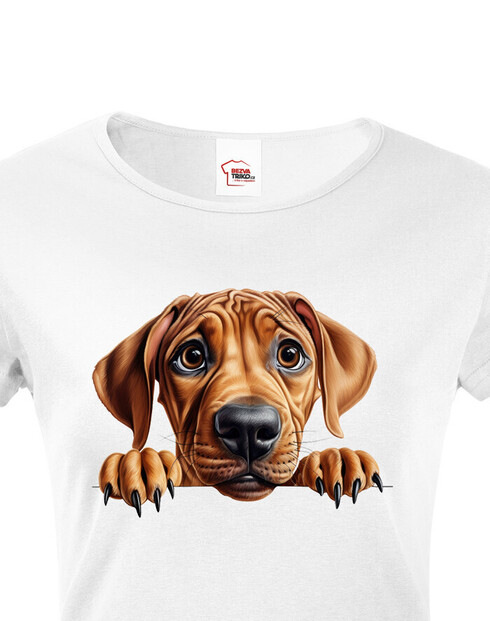 Dámské tričko Rhodéský ridgeback