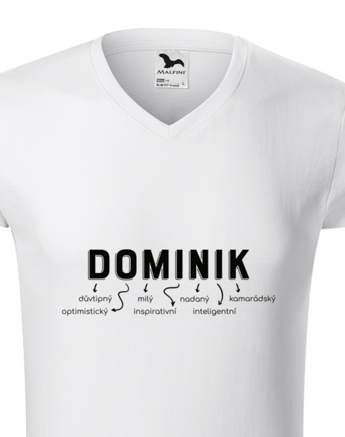 Pánské tričko s výstřihem do V – Dominik, zachránce života, posilovač, milovník, krotitel oříšků