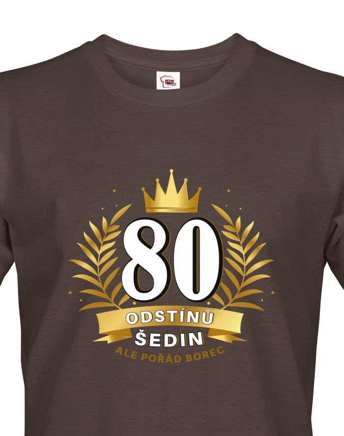 Pánské tričko k 80. narozeninám 80 odstínů šedin