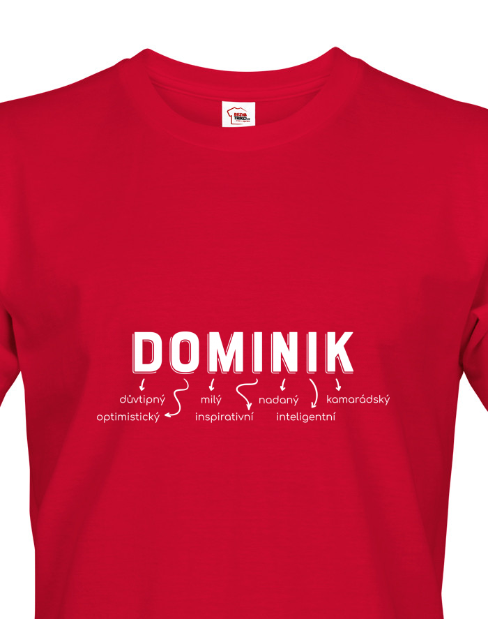 Pánské tričko DOMINIK – zachránce světa