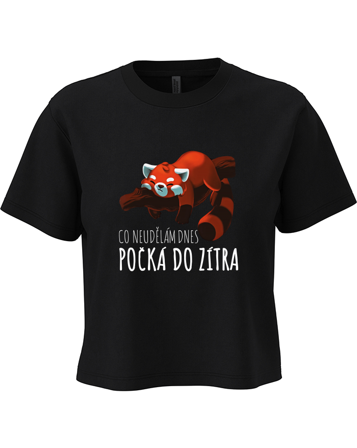 Dámský crop top Co neudělám dnes