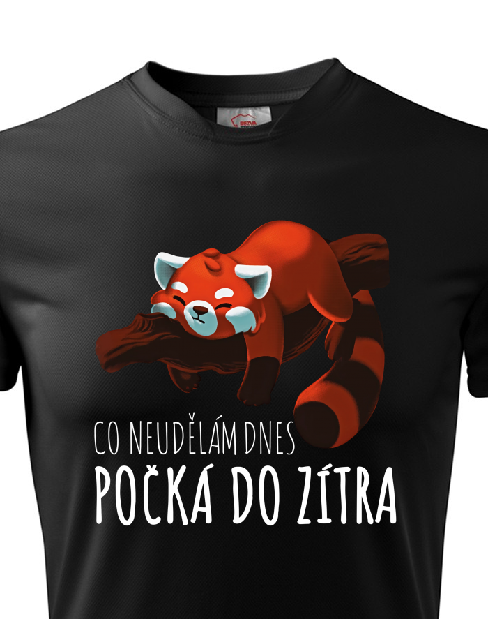 Pánské funkční tričko Co neudělám dnes