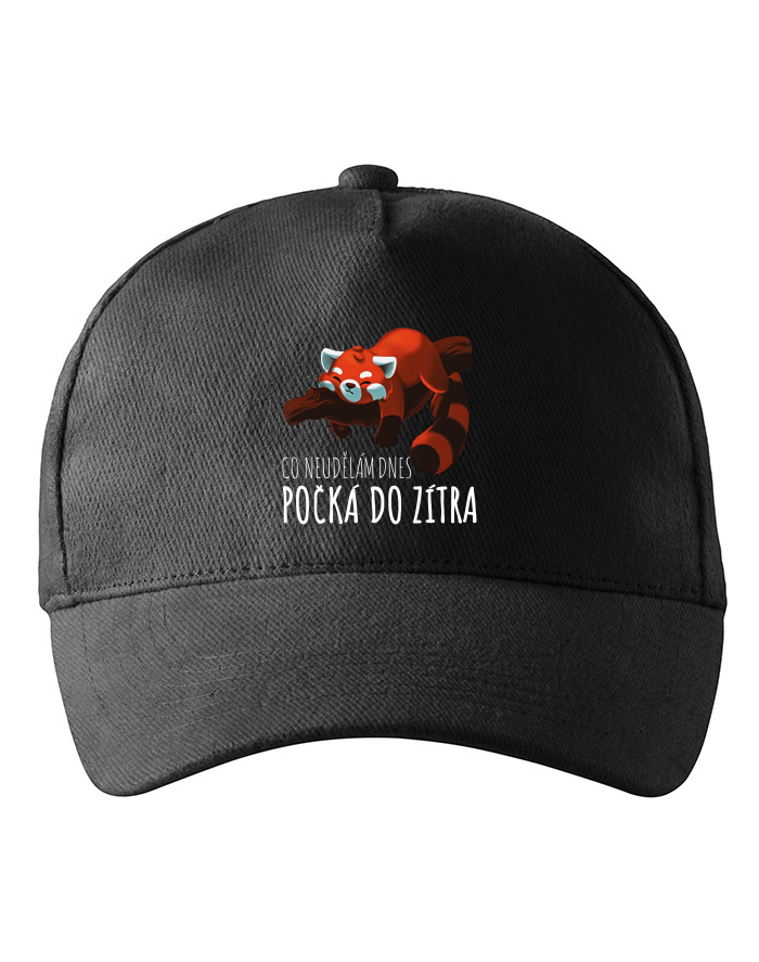 Dětská kšiltovka Co neudělám dnes