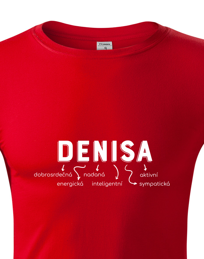 Unisex tričko s dlouhým rukávem – Denisa, nejvtipnější sympaťák