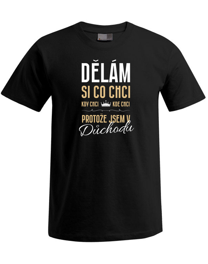 Pánské tričko Plus Size Jsem v důchodu