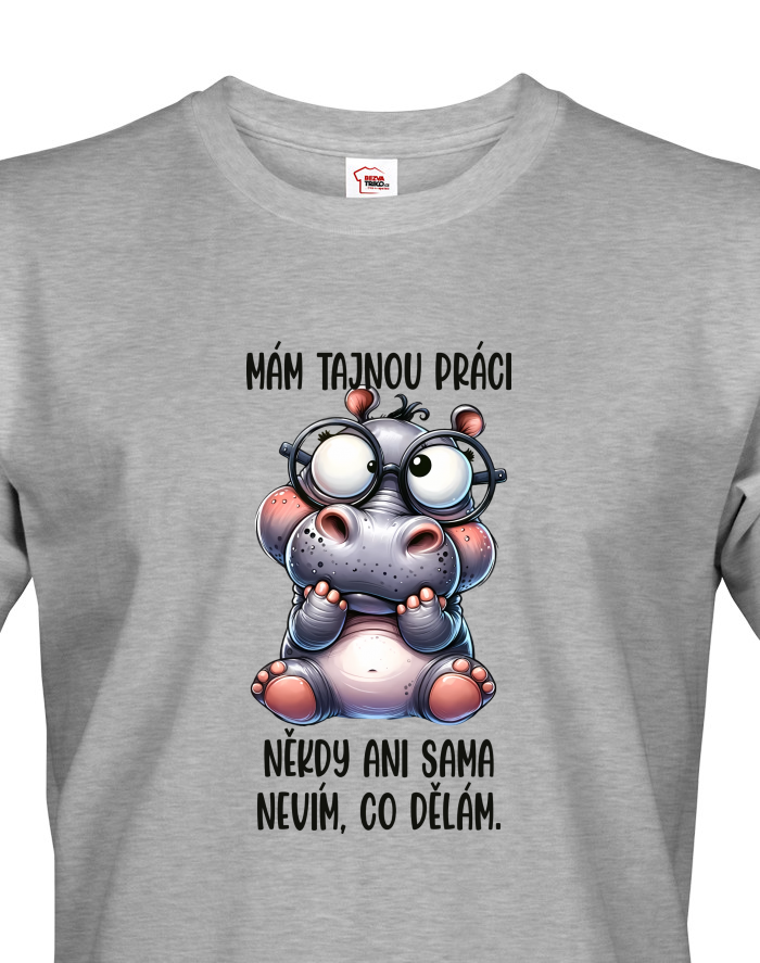Hroch - Tajná práce