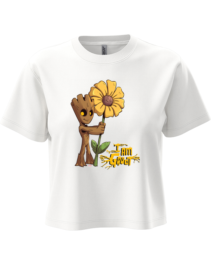 Groot a květina – dámský crop top