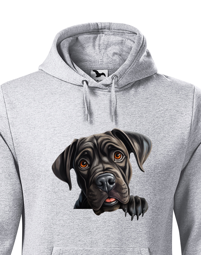 Pánská mikina s kapucí Cane Corso
