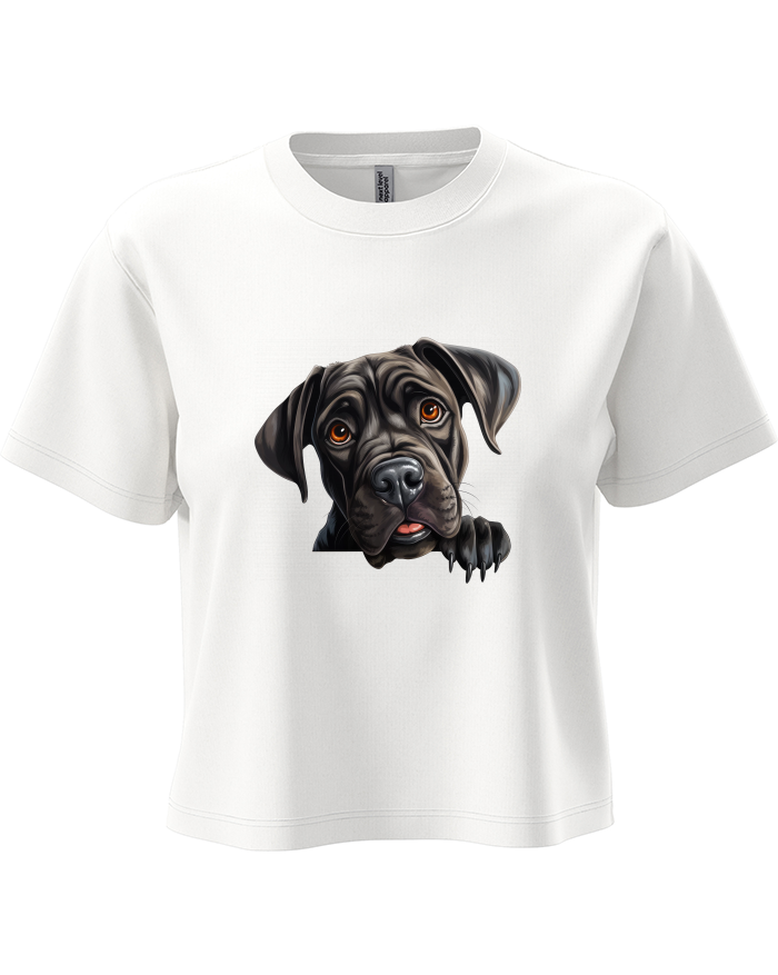 Dámský crop top Cane Corso
