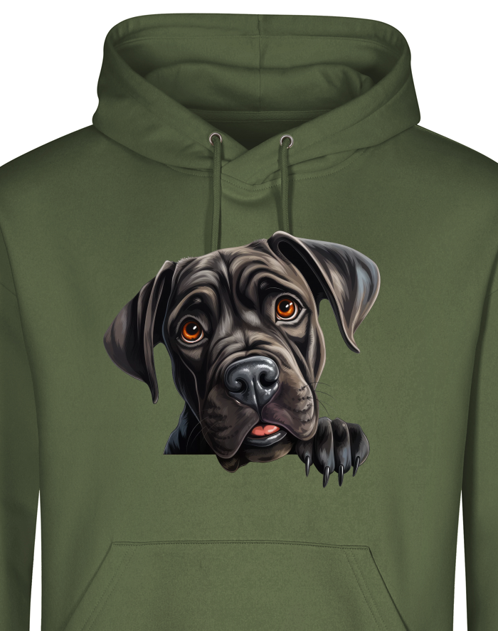 Pánská mikina s kapucí Cane Corso