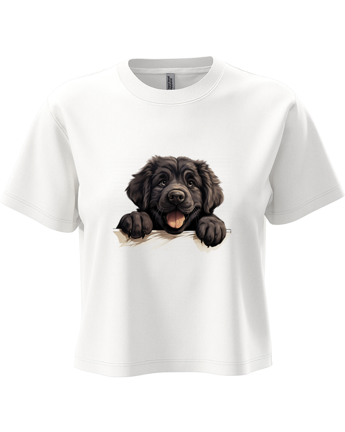 Dámský crop top s novofundlandským psem