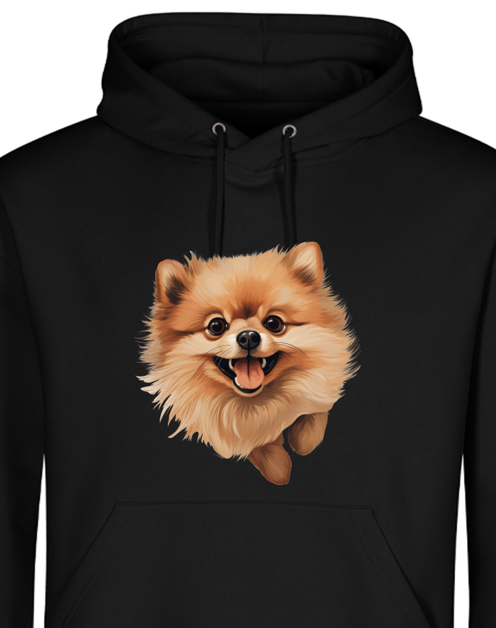 Pánská mikina s kapucí Pomeranian